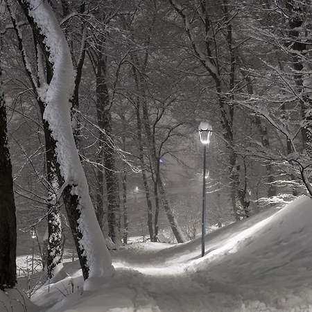 Margaret Place * Brasov