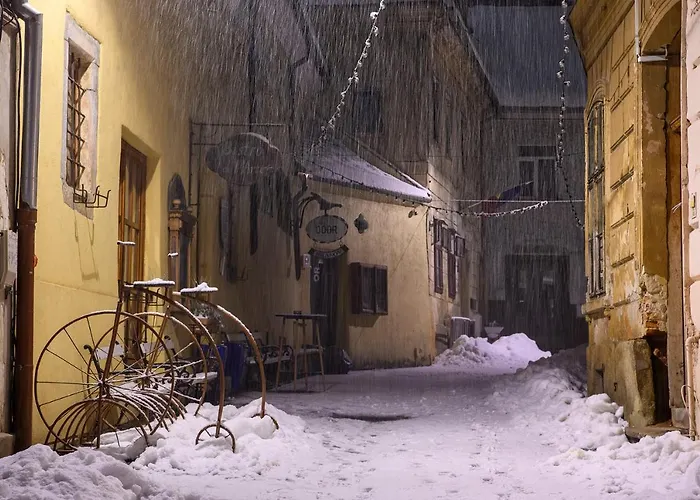 公寓 Margarets Place 布拉索夫