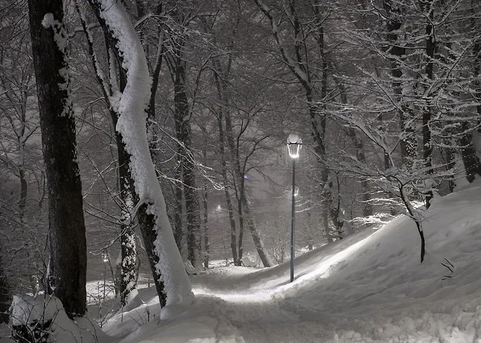 Margarets Place * 布拉索夫