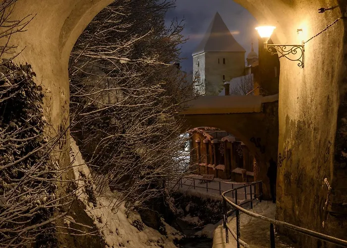 公寓 Margarets Place 布拉索夫