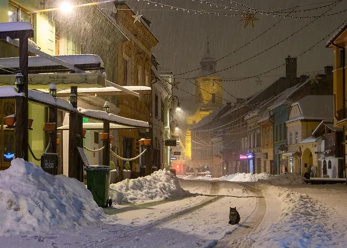 公寓 Margarets Place 布拉索夫