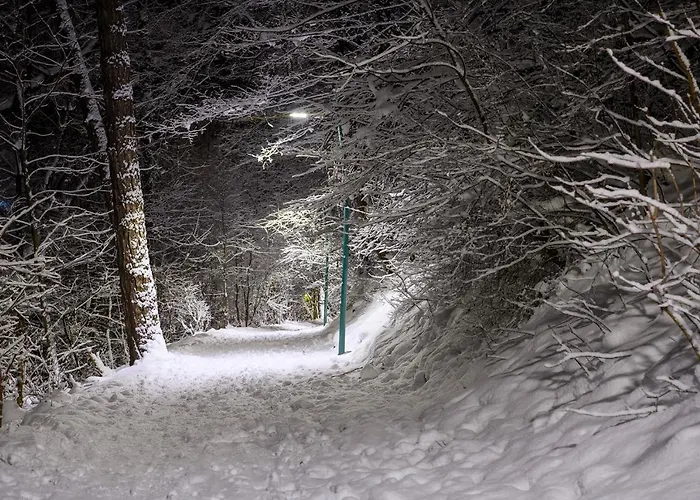 Margarets Place 公寓